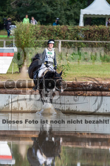 Deutsche Meisterschaft Vielseitigkeit (Luhmühlen)
