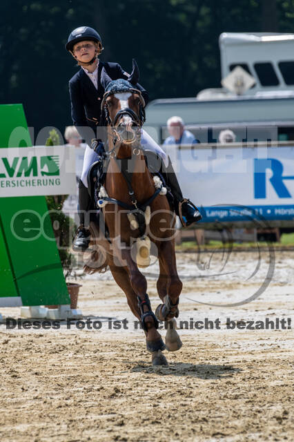 Goldene Schärpe 2021 - Ponys
