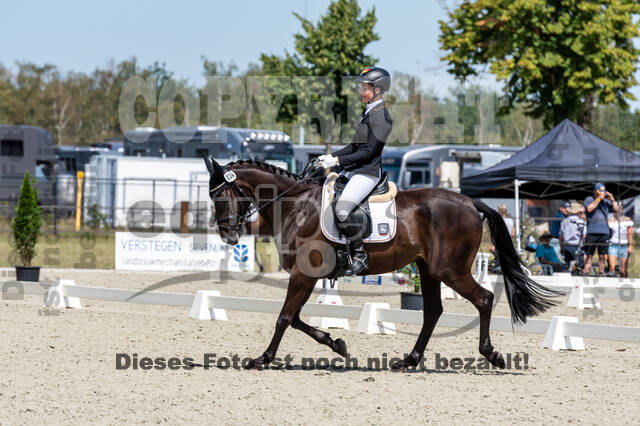 Kronenberg - De Peelbergen (August 2020)