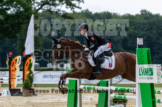 Goldene Schärpe 2021 - Ponys