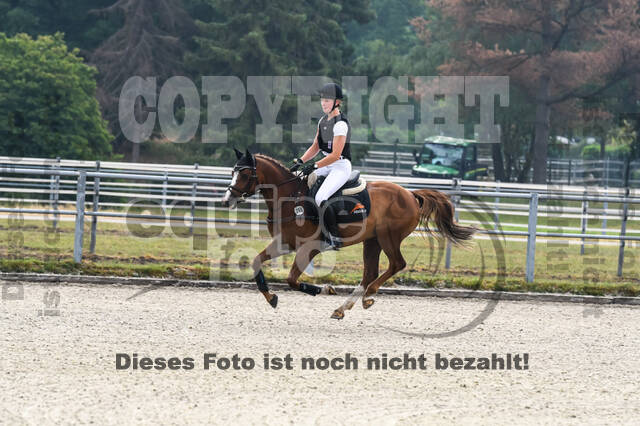 Late-Entry-Vielseitigkeit Langenfeld (11.+13./14.06.2020)
