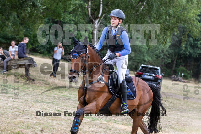 Late-Entry Vielseitigkeit Hamminkeln/Wesel (01.+02.08.2020)