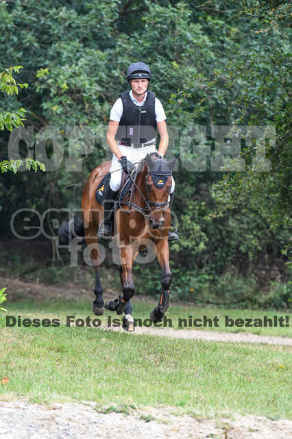 Late-Entry-Vielseitigkeit Langenfeld (11.+13./14.06.2020)