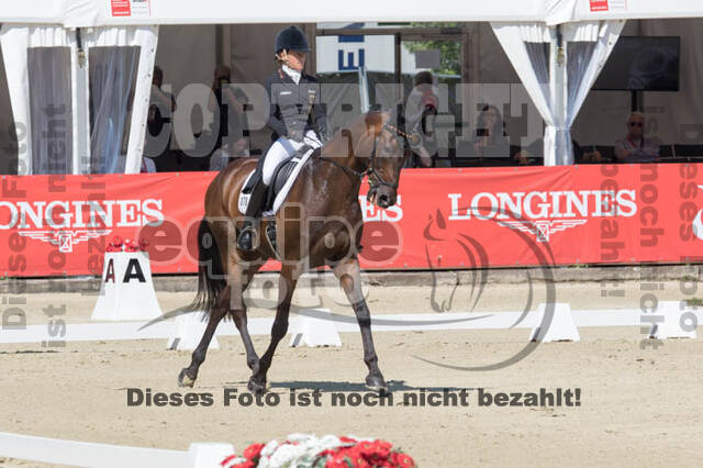 FEI European Championship Eventing 2017