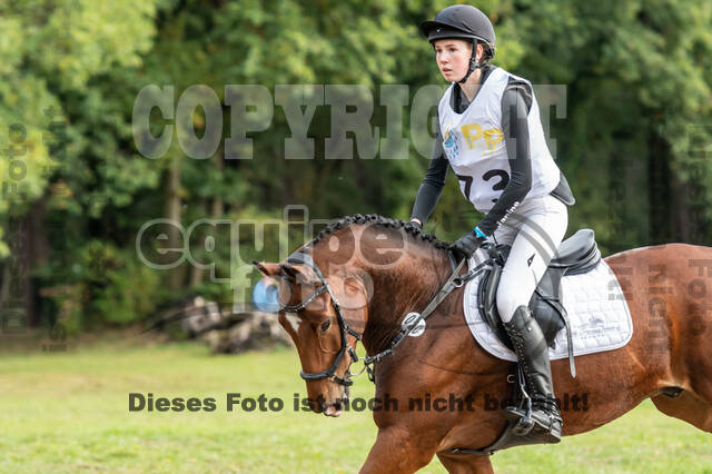 Vielseitigkeit RSV Wesel Obrighoven (26.+27.09.2020)