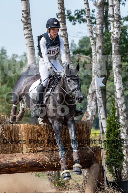 De Peelbergen (August 2020)