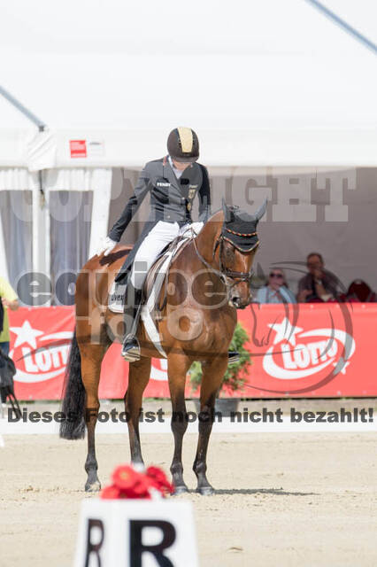 FEI European Championship Eventing 2017