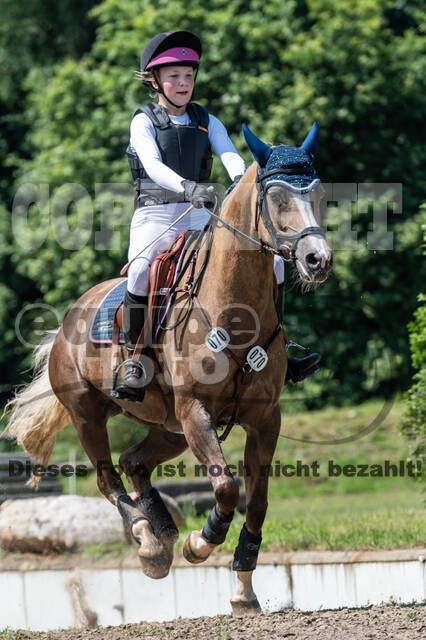 Goldene Schärpe 2021 - Ponys