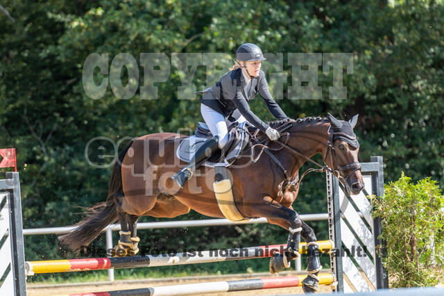 RFV Dinslaken-Hiesfeld (Herbstturnier)
