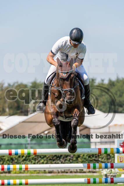 Kronenberg - De Peelbergen (August 2020)