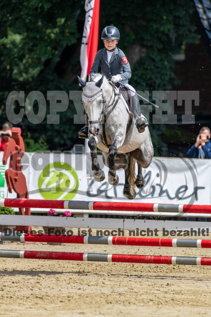 Goldene Schärpe 2021 - Ponys