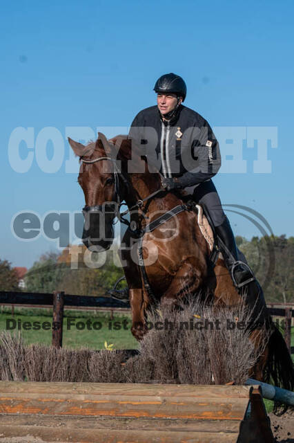 Vielseitigkeitslehrgang mit Jürg Kurbel (9.+10.11.2019)