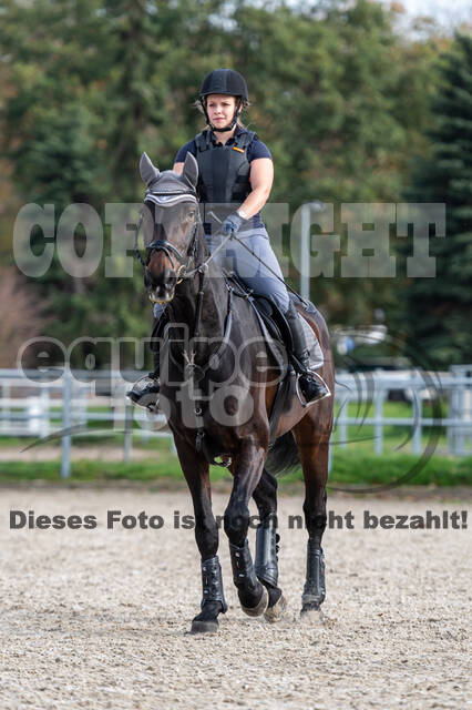 IGV Lehrgang der Sieger der Cups mit Frank Ostholt