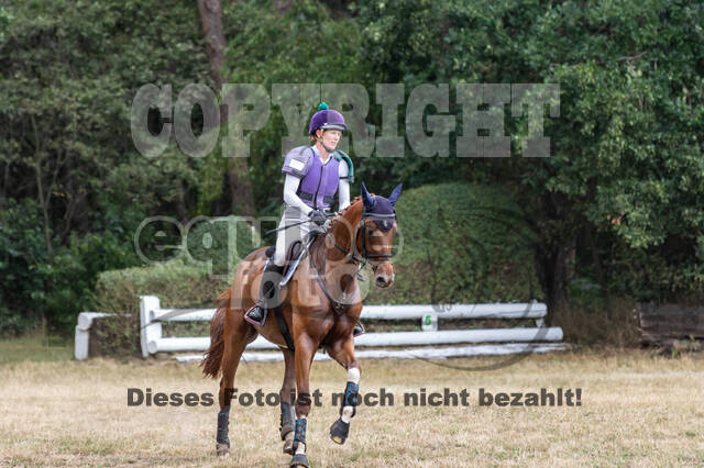 Late-Entry Vielseitigkeit Hamminkeln/Wesel (01.+02.08.2020)
