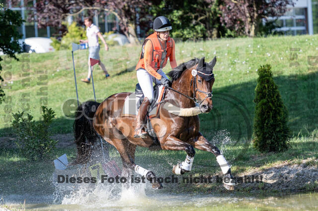 Late-Entry-Vielseitigkeit Langenfeld (11.+13./14.06.2020)