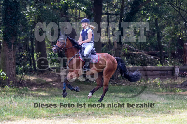Late-Entry Vielseitigkeit Hamminkeln/Wesel (01.+02.08.2020)