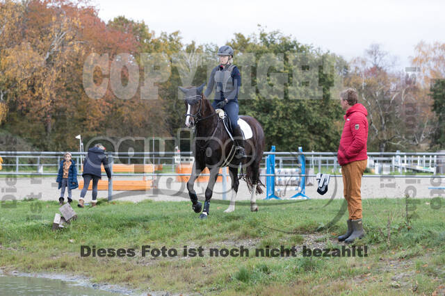 IGV Lehrgang der Sieger der Cups mit Frank Ostholt