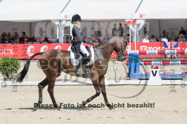 FEI European Championship Eventing 2017