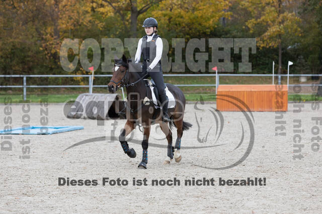 IGV Lehrgang der Sieger der Cups mit Frank Ostholt