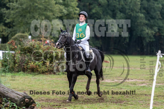 Vielseitigkeit RSV Wesel Obrighoven (26.+27.09.2020)