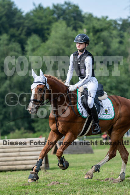 Goldene Schärpe 2021 - Ponys