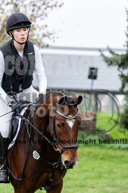 Goldene Schärpe 2020 - Pferde