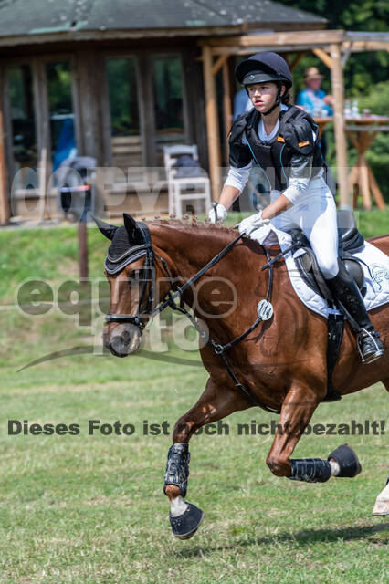 Goldene Schärpe 2021 - Ponys