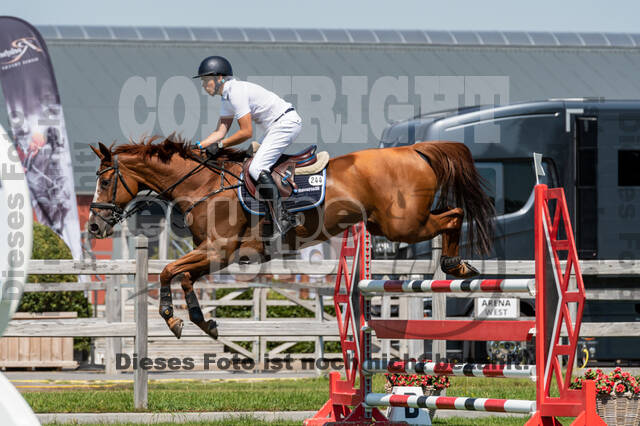 Kronenberg - De Peelbergen (August 2020)