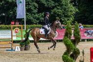Goldene Schärpe 2021 - Ponys