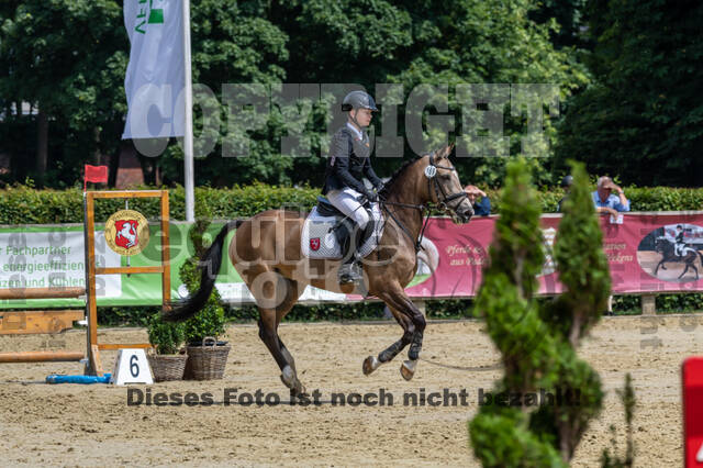 Goldene Schärpe 2021 - Ponys