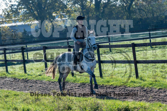 Vielseitigkeitslehrgang mit Jürg Kurbel (9.+10.11.2019)