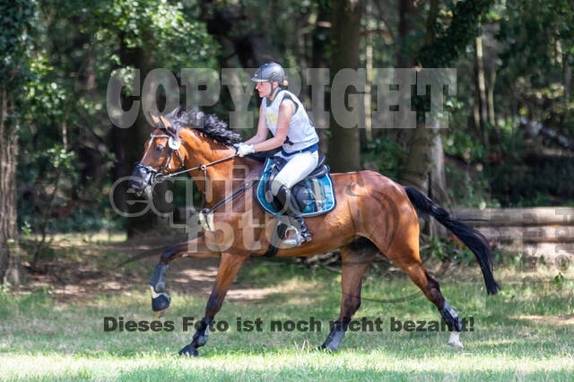 Late-Entry Vielseitigkeit Hamminkeln/Wesel (01.+02.08.2020)