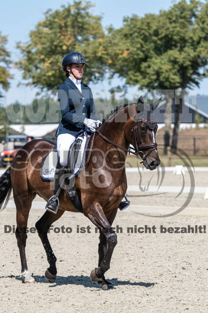 Kronenberg - De Peelbergen (August 2020)