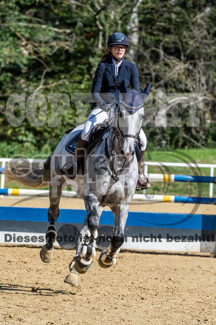 RFV Dinslaken-Hiesfeld (Herbstturnier)