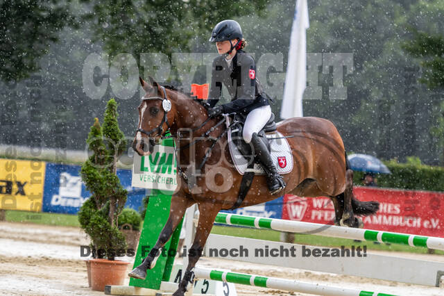 Goldene Schärpe 2021 - Ponys