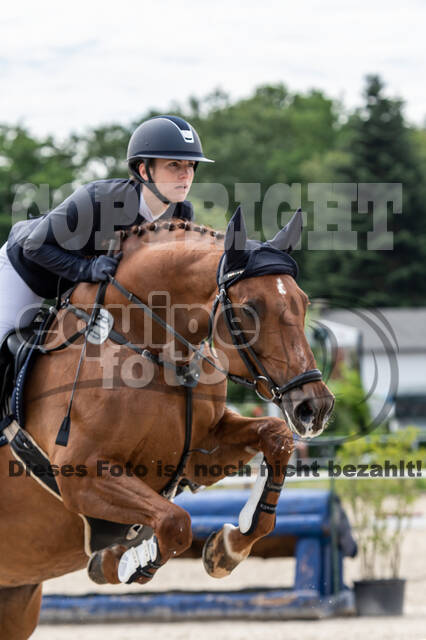 Late-Entry-Vielseitigkeit Langenfeld (06.+07.07.2020)