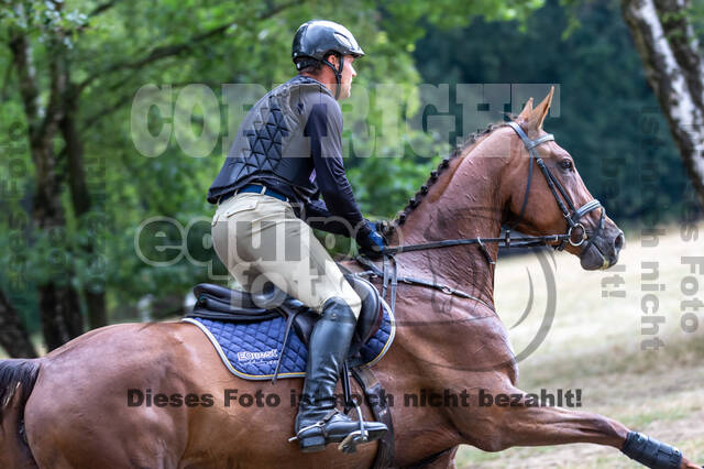 Late-Entry Vielseitigkeit Hamminkeln/Wesel (01.+02.08.2020)