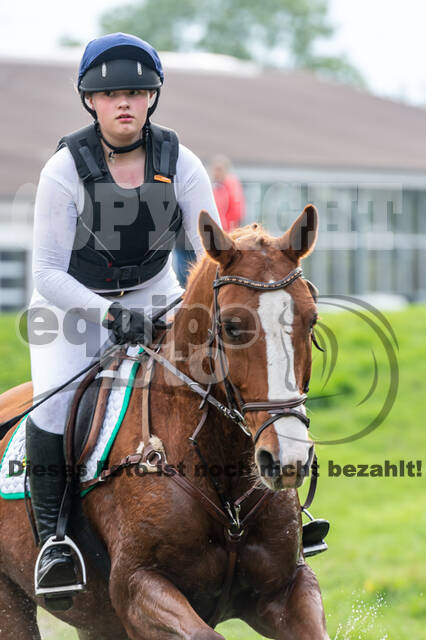 Goldene Schärpe 2020 - Pferde