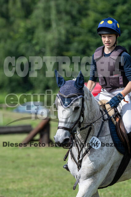 Goldene Schärpe 2021 - Ponys