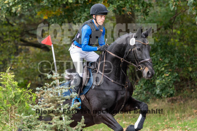 Goldene Schärpe 2020 - Pferde