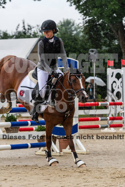 Goldene Schärpe 2021 - Ponys