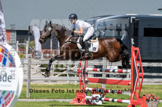 Kronenberg - De Peelbergen (August 2020)