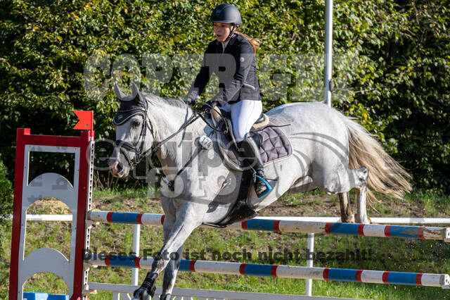 RFV Dinslaken-Hiesfeld (Herbstturnier)