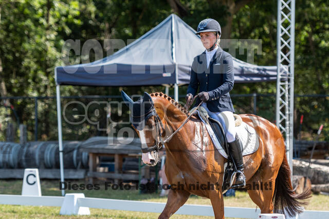 Kronenberg - De Peelbergen (August 2020)