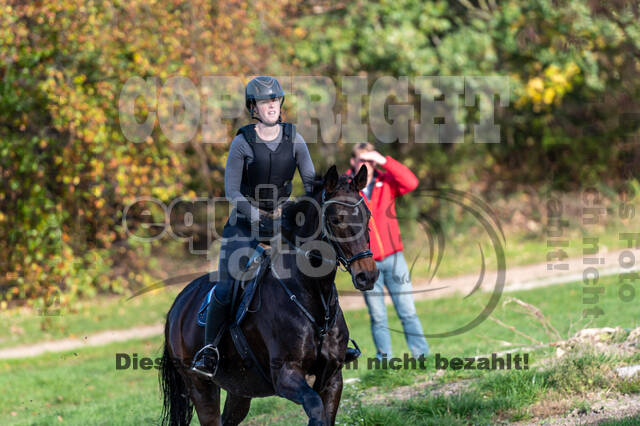 IGV Lehrgang der Sieger der Cups mit Frank Ostholt