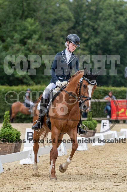 Goldene Schärpe 2021 - Ponys