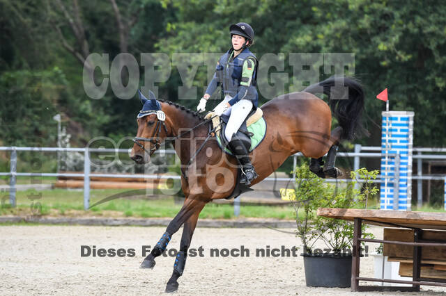 Late-Entry-Vielseitigkeit Langenfeld (11.+13./14.06.2020)