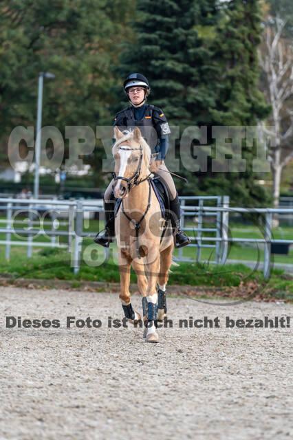 IGV Lehrgang der Sieger der Cups mit Frank Ostholt