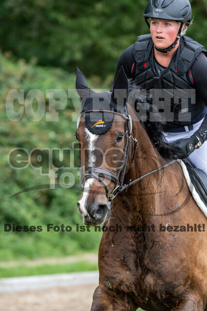 Late-Entry-Vielseitigkeit Langenfeld (06.+07.07.2020)