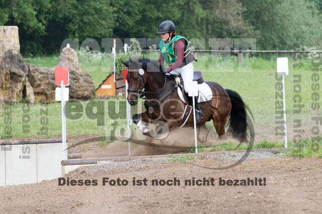Vielseitigkeitsturnier ZRFV von Lützow Hamminkeln